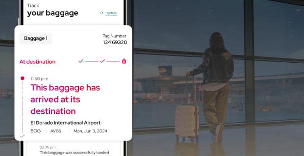 Cell phone on the “Track Your Luggage” page