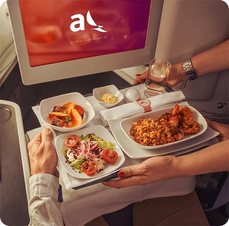Comida menú a bordo en vuelos desde y hacia Europa
