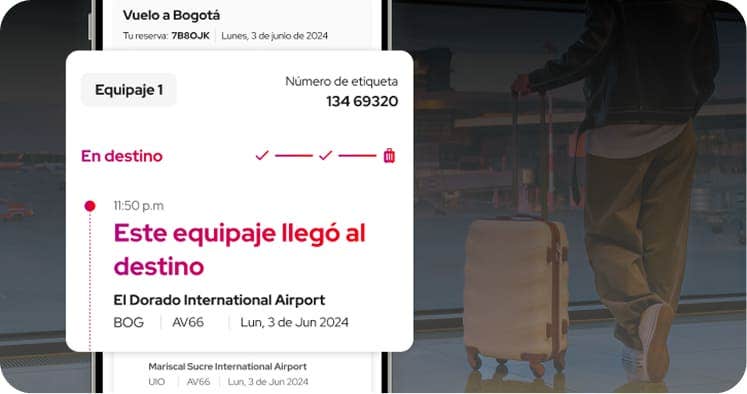 Celular en la página de rastrea tu equipaje