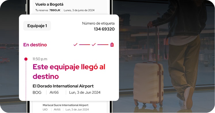 Rastrea tu equipaje