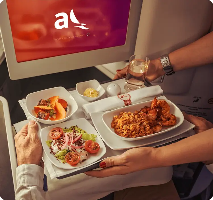 Comida con servicio abordo